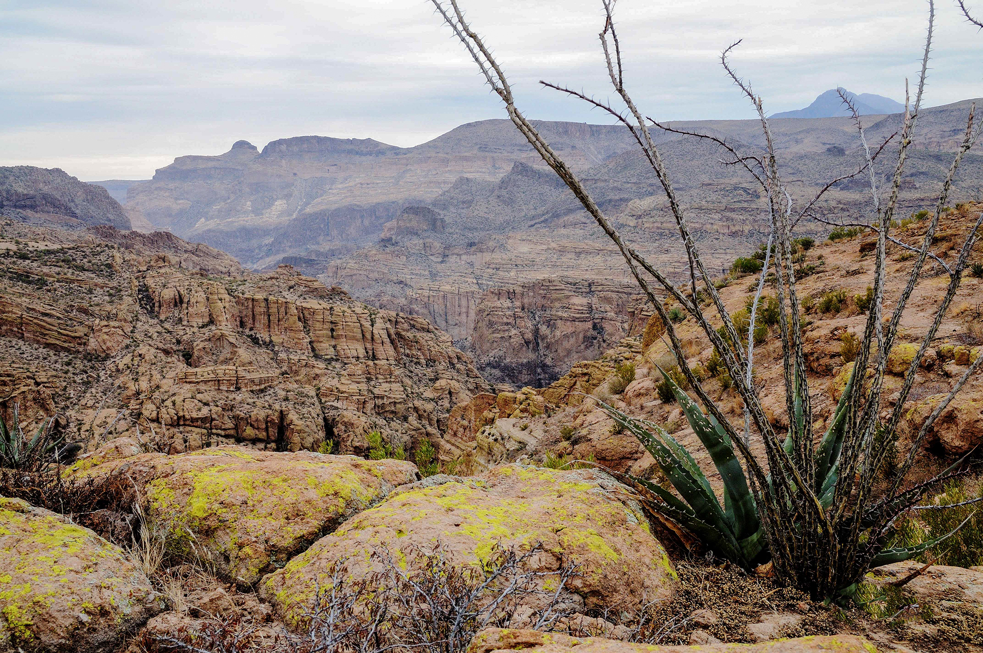 APACHE TRAIL LOOKOUT