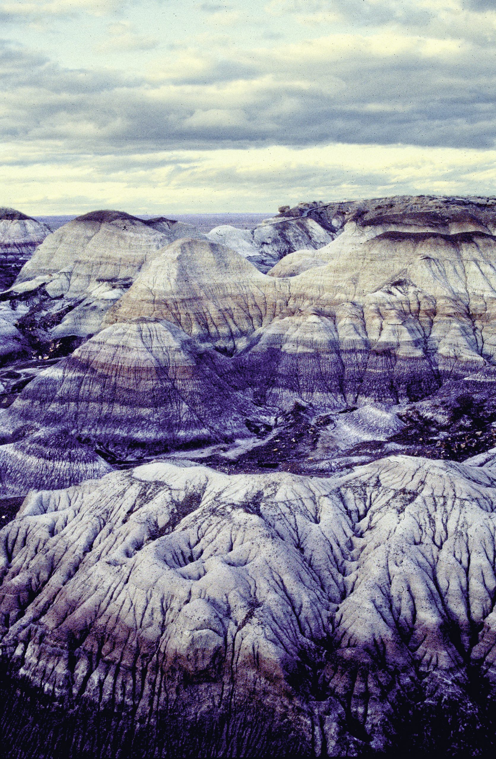 4 CORNERS v3 4 CORNERS v3