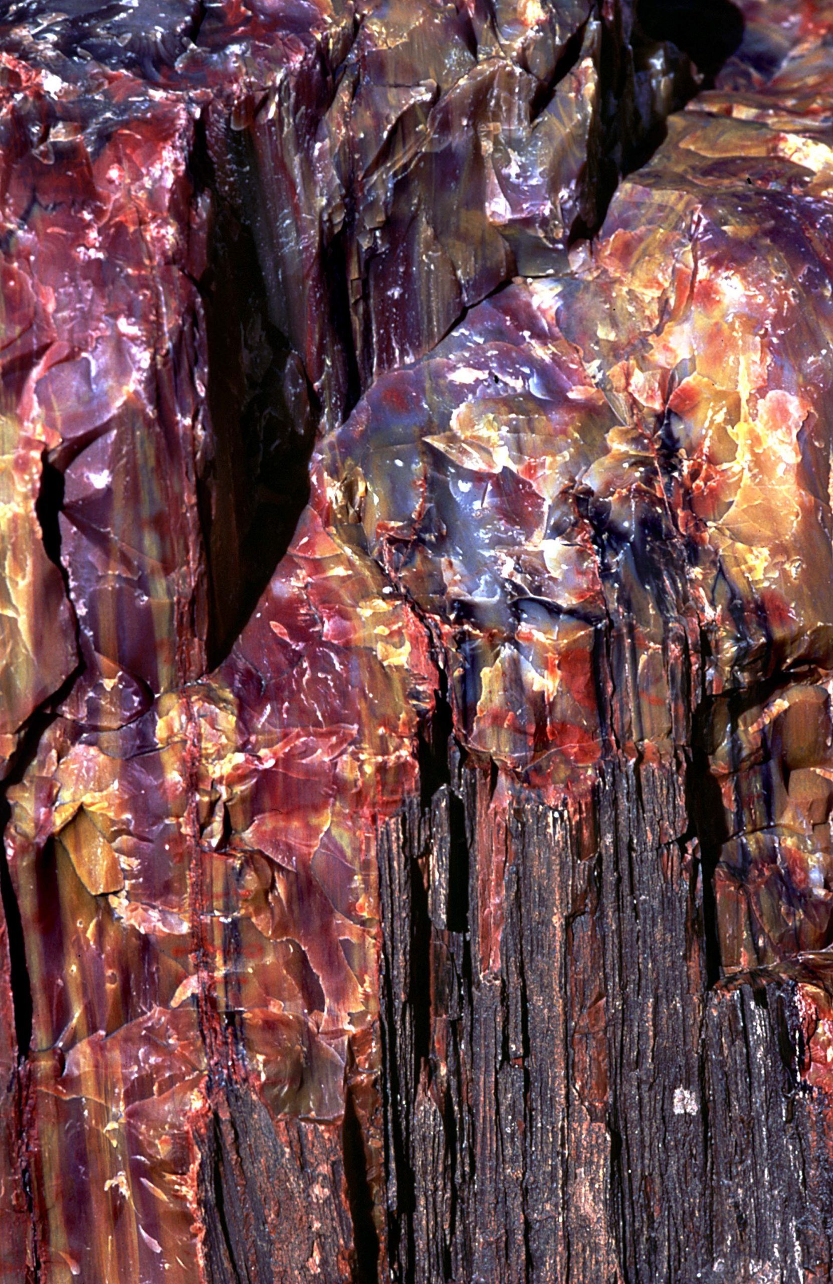 HOLBROOK JEWEL HOLBROOK JEWEL